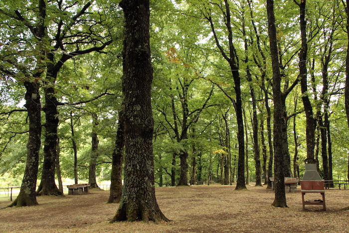 "Il tasso del Taburno": l'area picnic